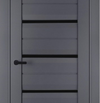 კარის ბლოკი Terminus ELIT PLUS Antracit №111 38x700x2150 mm. შუშა შავი