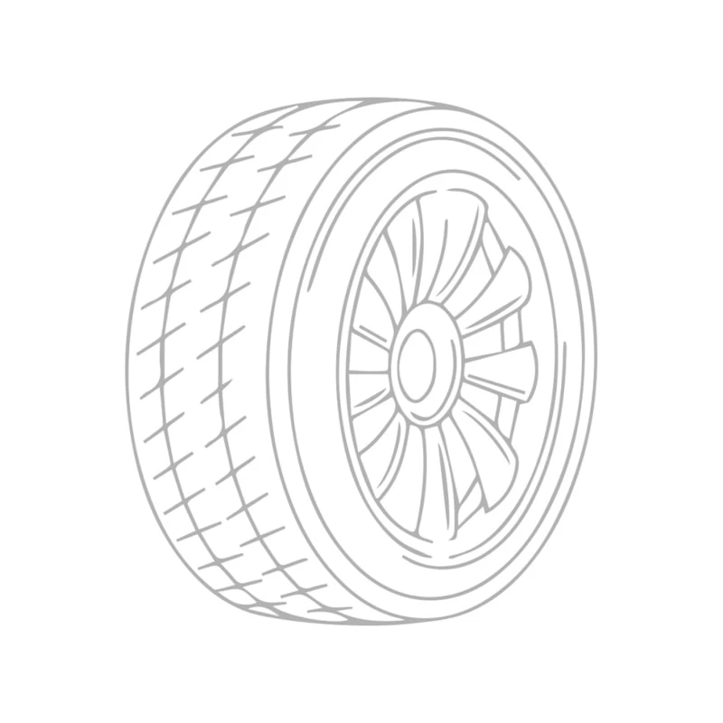 საბურავი 225/70R15C TOURADOR WINTER PRO TSV1
